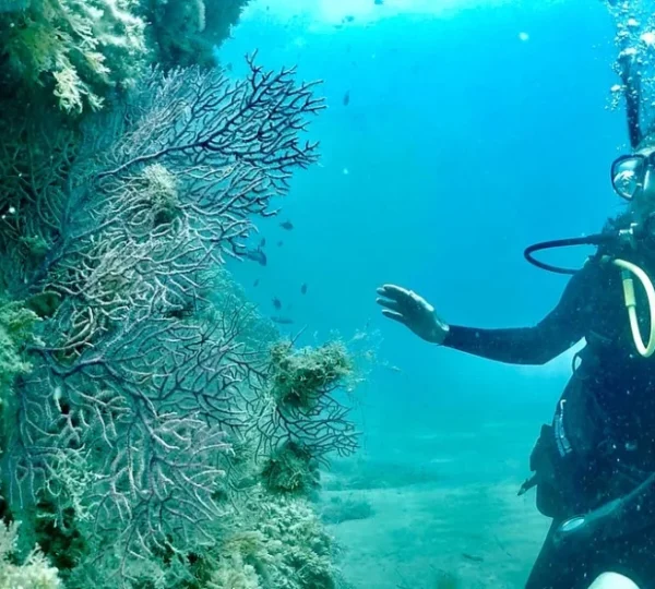 3 nights Scuba diving package
